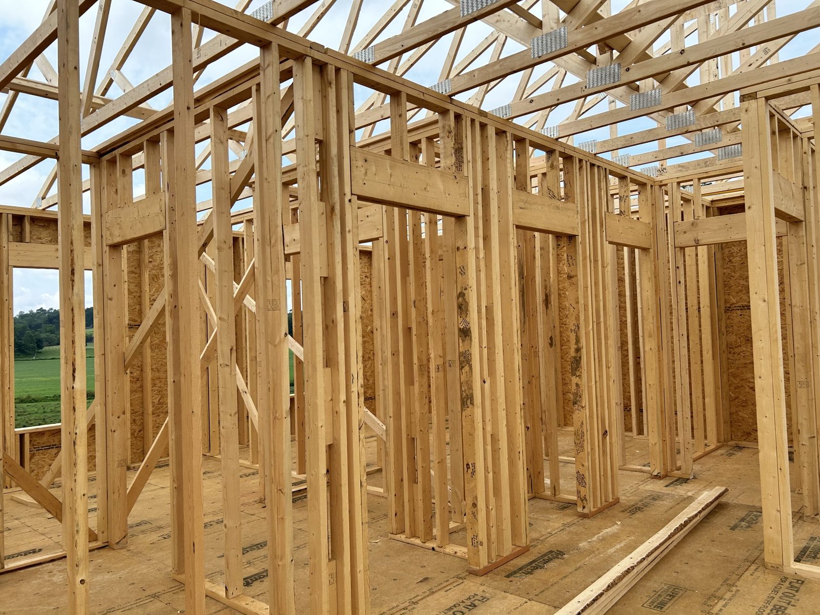 Interior wall framing and roof trusses